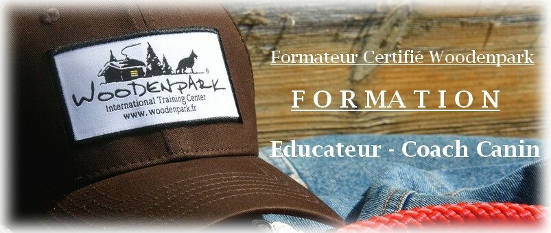 formation educateur canin