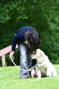 formation educateur canin